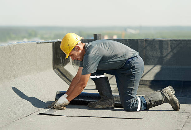 Best Insulation Removal  in Churchill, PA